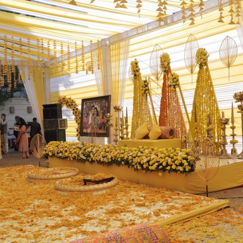 WhatsApp Image 2025-07-31 at 14.29.40 (1)